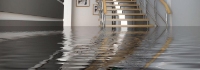 Flood Damage Restoration Bondi Junction