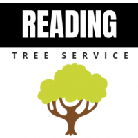 Reading Tree Service