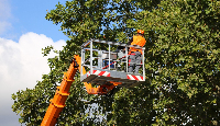 Lancaster Tree Service