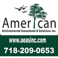 American Environmental Assessment & Solutions, Inc.