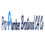 Pro Plumber Brentwood CA Co