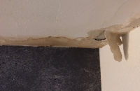 University Heights Water Damage Repair