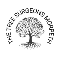 The Tree Surgeons Morpeth