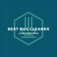 Best Rug Cleaner