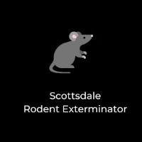 Scottsdale Rodent Exterminator