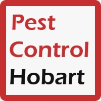 Pest Control Hobart