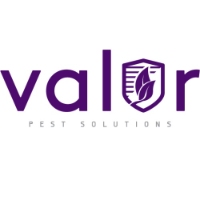 Valor Pest Solutions