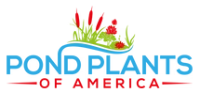 Pond Plants Of America