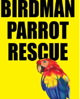 Birdman Parrot Rescue