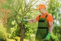 Branch Out Tree Services