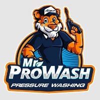 Mr. ProWash