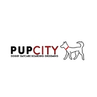 Pup City Doggy Daycare