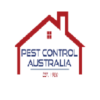 Termite Control Brisbane - Pest Australia