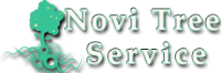 Novi Tree Service