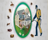 Pest Control Services