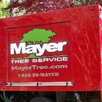 Mayer Tree Service