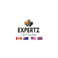 Expertz Consultants