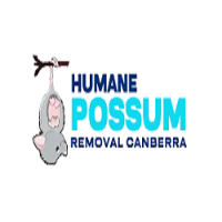 Humane Possum Removal Canberra