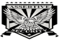 Assertive Security Services