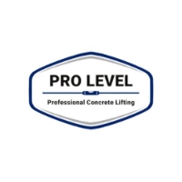 Pro Level LLC