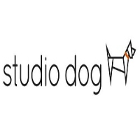 Studio Dog