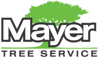 Mayer Tree Service