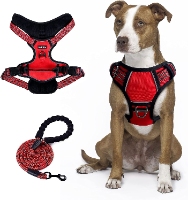 Buddy harness