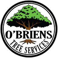 O'Brien Tree Services