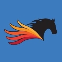 Pegasus Technologies, LLC