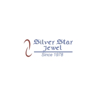 Silver Star Jewel