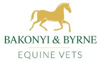 B&B Equine Vets