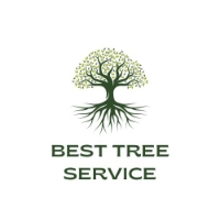 Best St. Louis Tree Servics