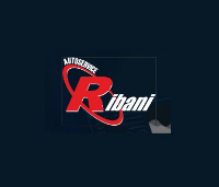 Autoservice Ribani Meccanico Bologna