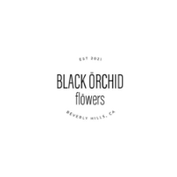 Black Orchid Flowers