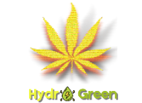 Hydro Green Cannabis Delivery