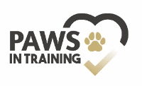 Paws in Training - Expert Dog Training Hampshire