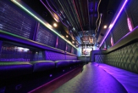 Tampa Party Buses