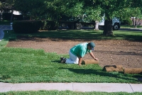 TurfTech Experts