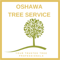 Oshawa Tree Service Ltd.