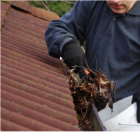 ClearFlow Gutter Services