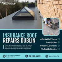 Dublin Roofing Services - Roof Repairs Dublin | Roofing Contractors Dublin | Dublin Roofing Company