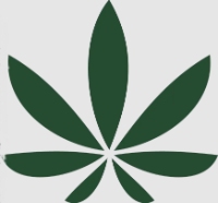 The Niagara Herbalist Dispensary St Catharines