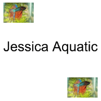 Jessica Aquatic