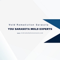 Sarasota Mold Testing and Inspection