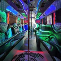 NEW ORLEANS BACHELOR PARTY STRIPPERS - PARTY BUS RENTAL