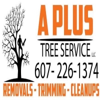 A Plus Tree Service