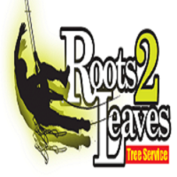 Roots 2 Leaves Tree Services