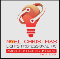 NOEL CHRISTMAS LIGHTS PROFESSIONAL INC