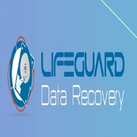 Lifeguard data recovery