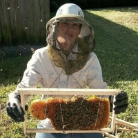 Eco bee removal